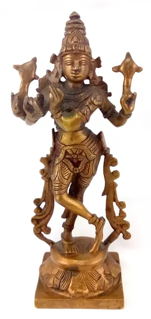 Krishna Venugopala