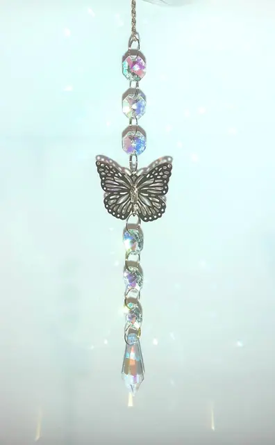 Sonnenfänger Schmetterling